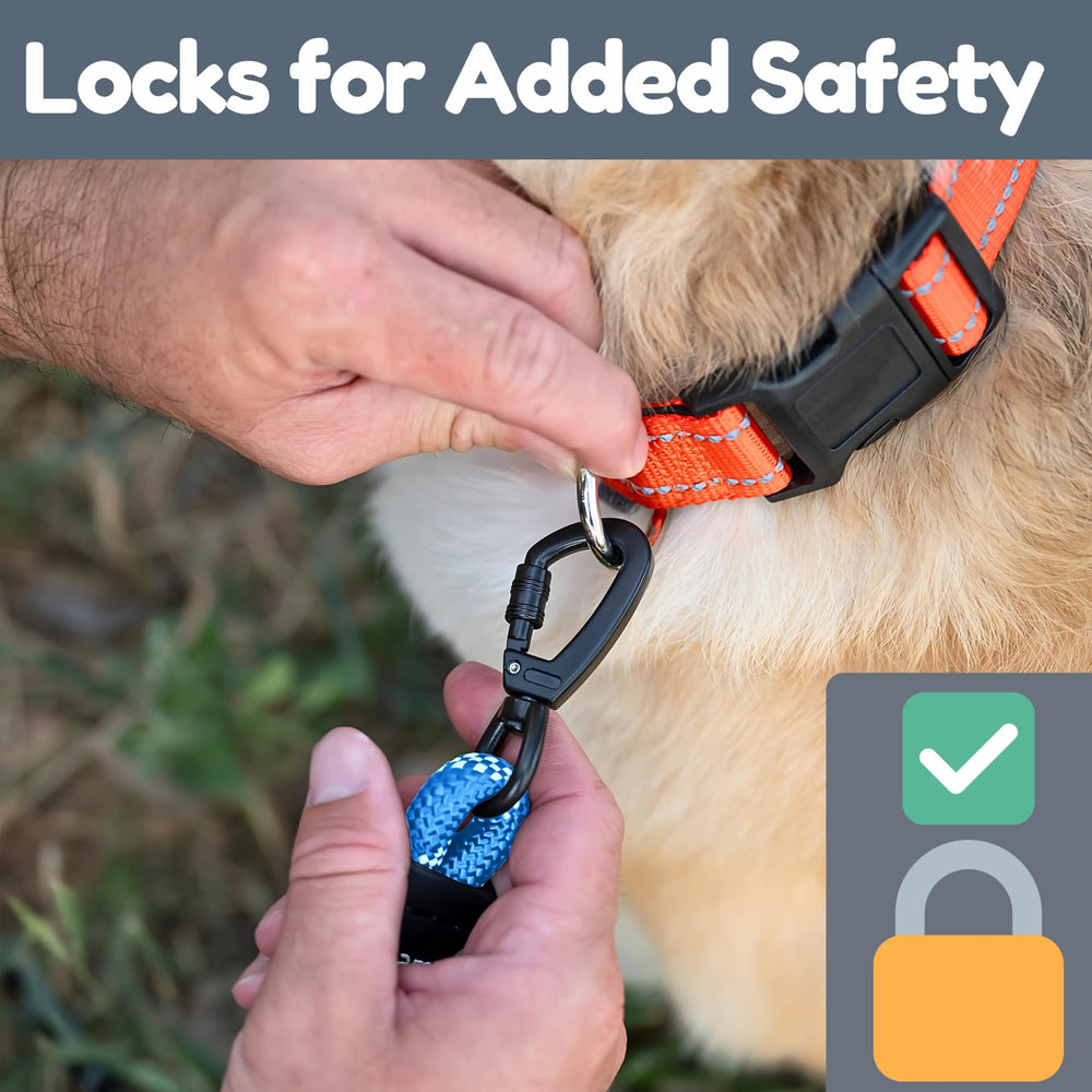 Roam Gear weatherproof heavy-duty rope leash withstands outdoor use