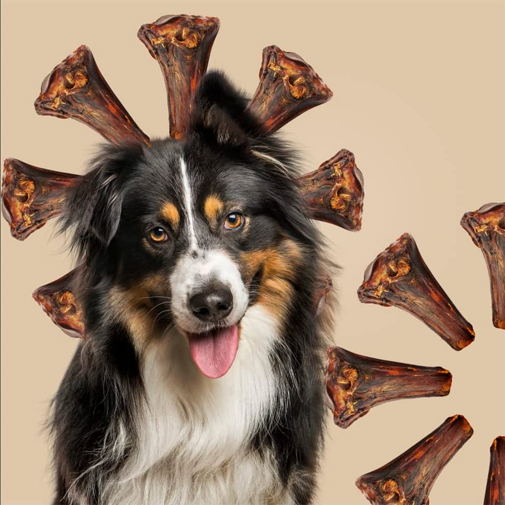 ROAM suitable for small to medium dogs during chewing