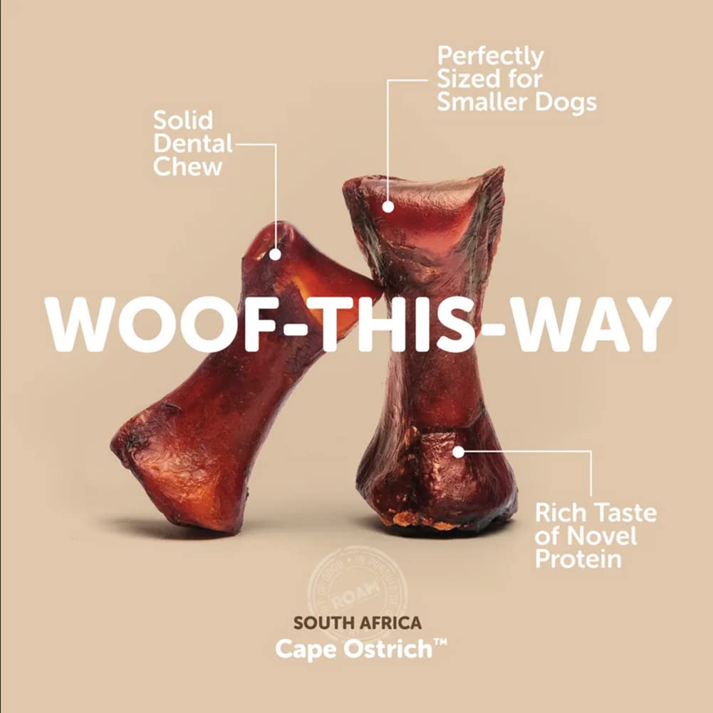 ROAM Ostrich Dog Chew small-dog use as training reward