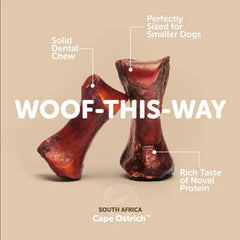 ROAM Ostrich Dog Chew small-dog use as training reward