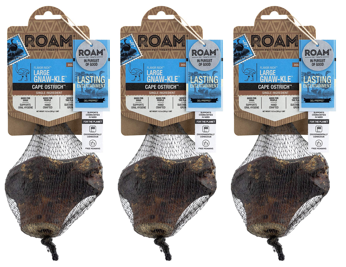 ROAM ostrich knuckle dog chew shows a durable, long-lasting option for medium to large dogs.