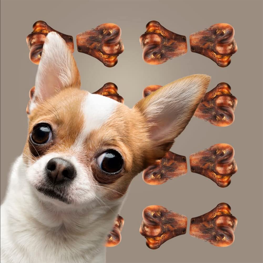 ROAM pet treats emphasize ethical sourcing and community impact.