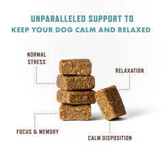 Rocco and Roxie Calming Chews ingredients highlight ashwagandha and GABA for calm support