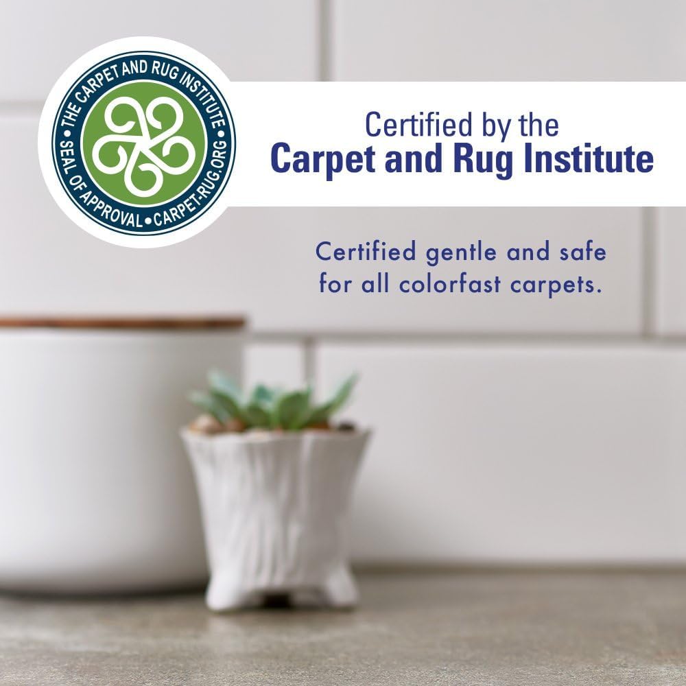 Pet bedding and crates cleaned with enzyme-based stain remover
