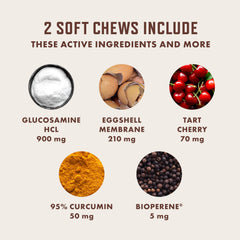 Close-up of label highlighting glucosamine, chondroitin, MSM for joint health.