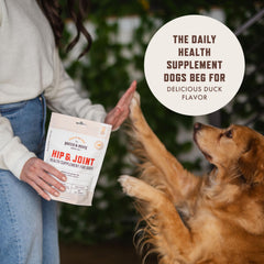 Rocco & Roxie packaging and treat bowl showcasing the joint supplement.