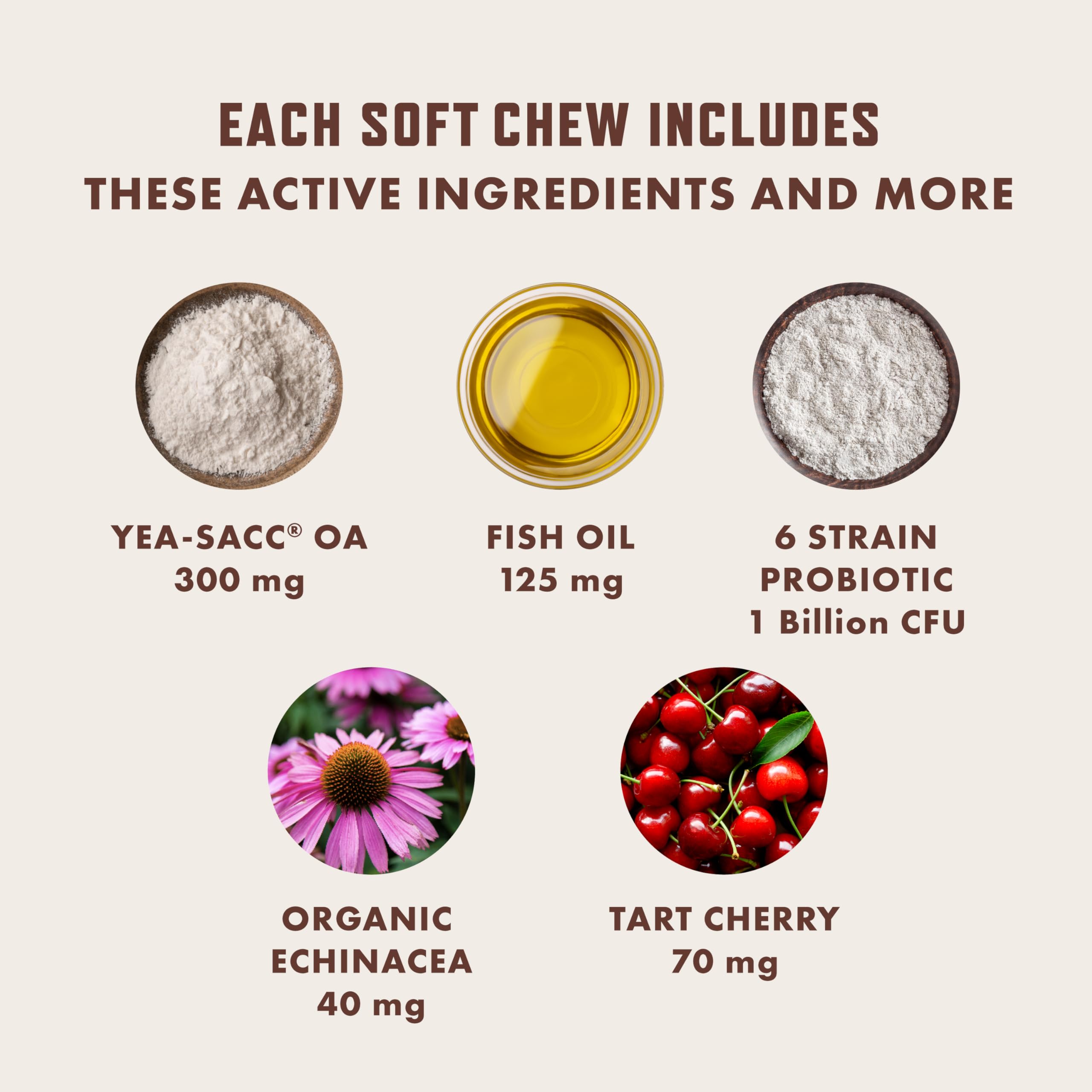 Rocco & Roxie USA-made chews for daily use