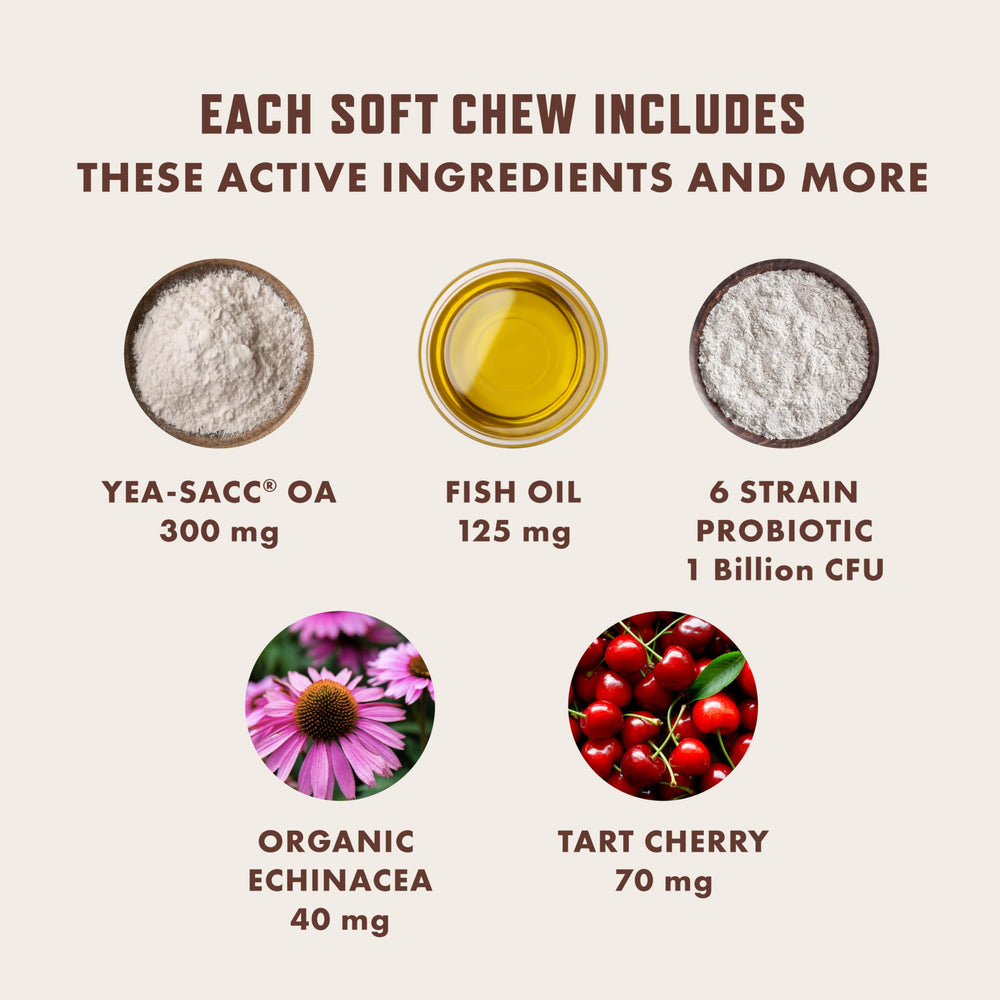Rocco & Roxie USA-made chews for daily use