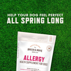 Rocco & Roxie probiotic dog chews with six strains for gut balance