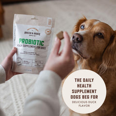 Rocco & Roxie Probiotics duck-flavor chews close-up for digestion