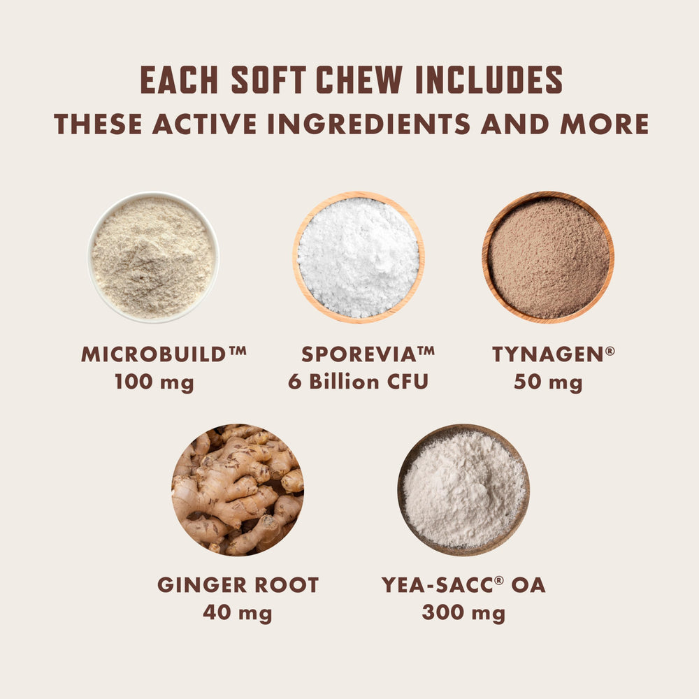 Rocco & Roxie Probiotics SporeVia probiotic visual for gut health