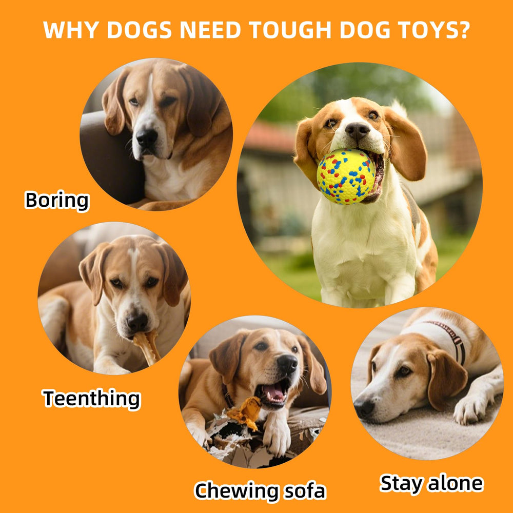 Rocfish interactive fetch toy to burn energy and reduce boredom.