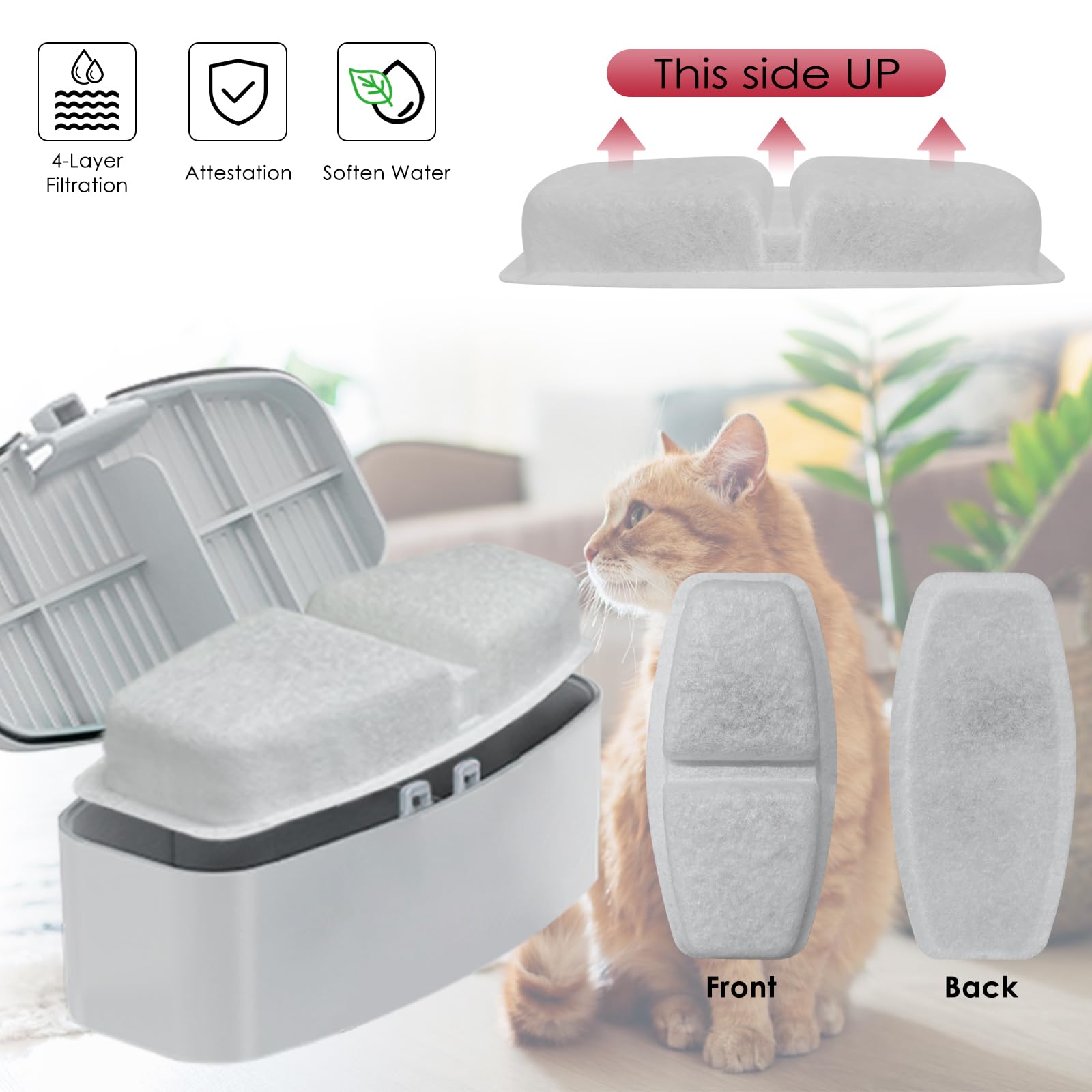 Rock Beard water fountain hydration helps pets drink more at home.