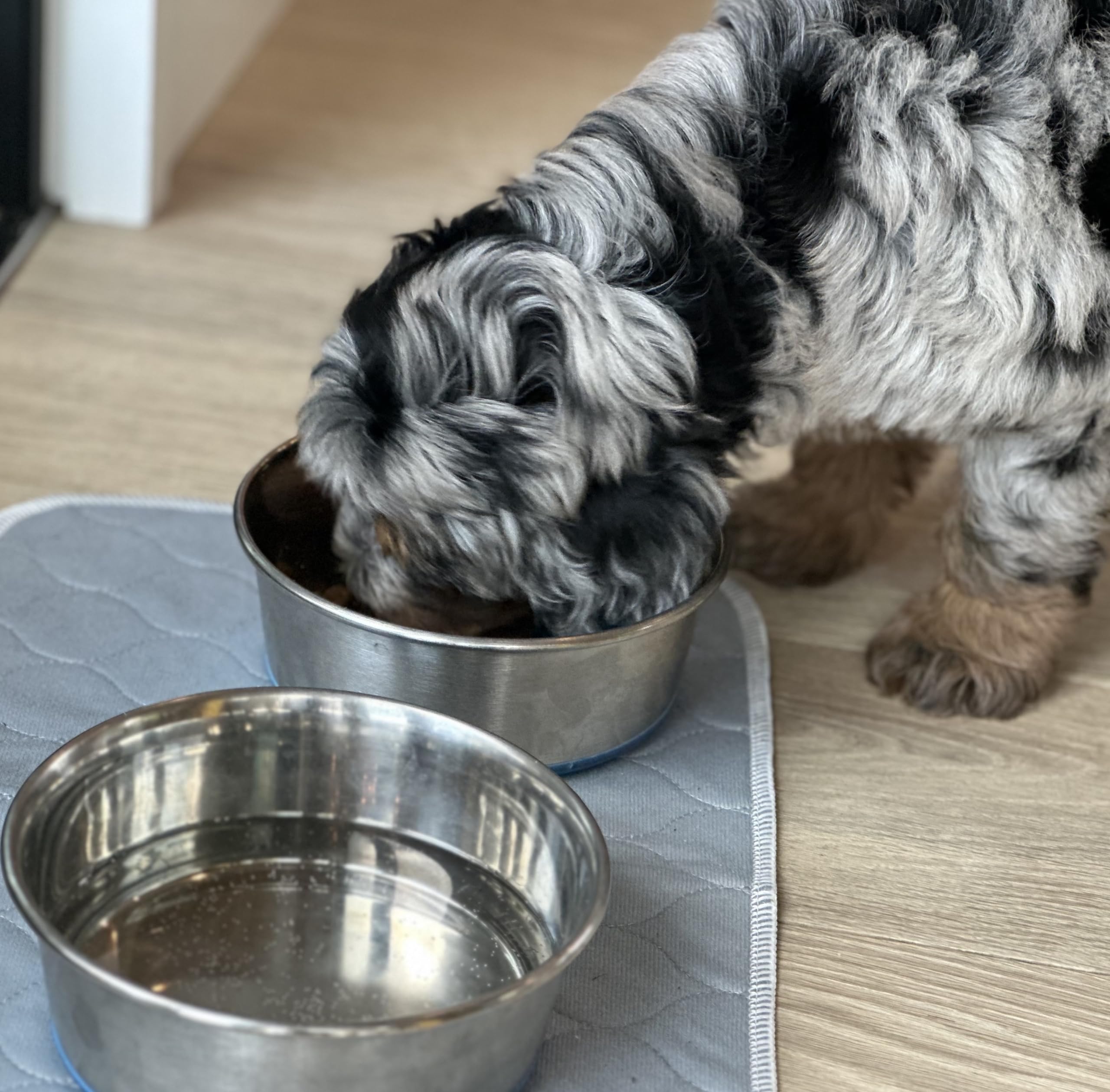 Rocket & Rex pad used under bowls to protect floors from spills and drips.