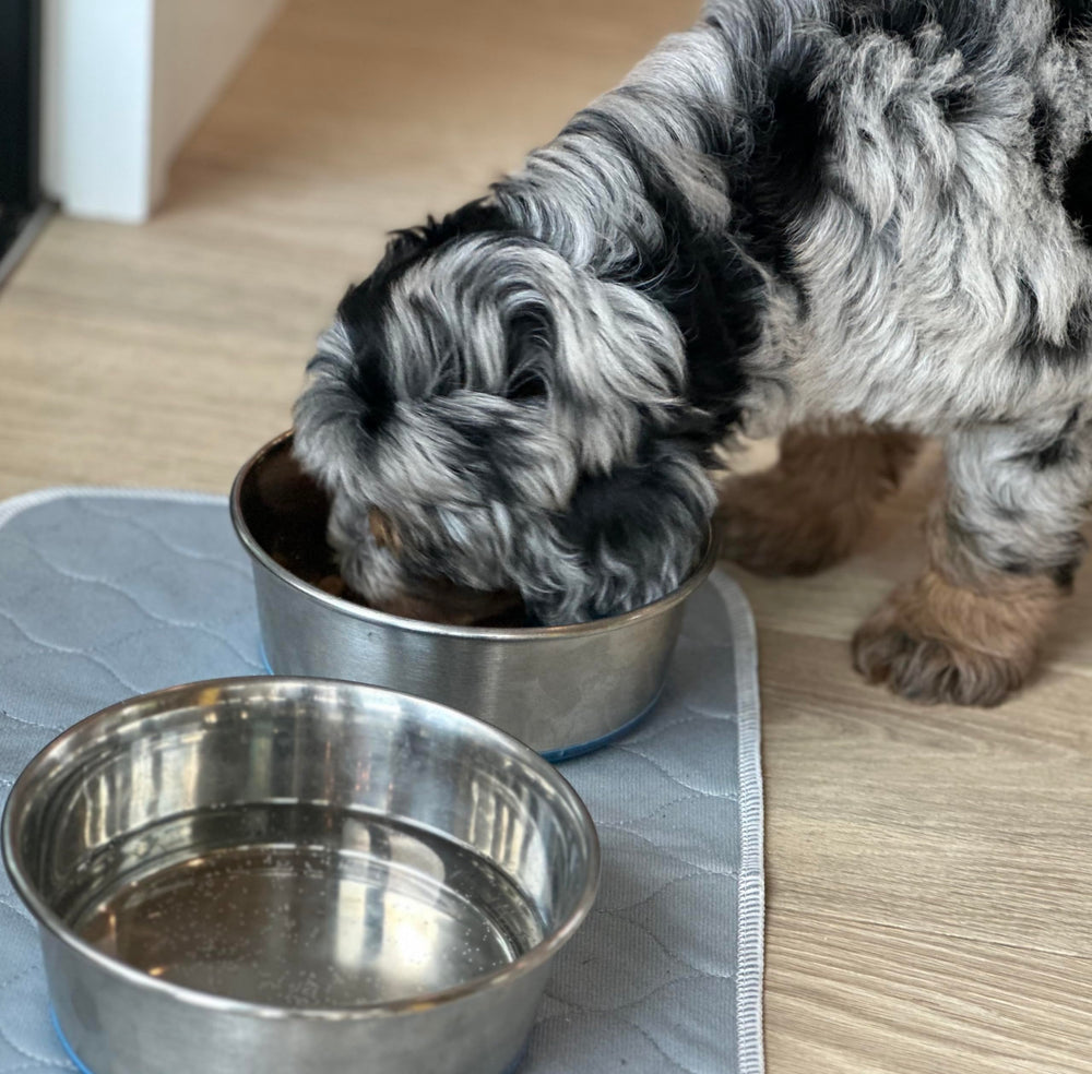 Rocket & Rex pad used under bowls to protect floors from spills and drips.