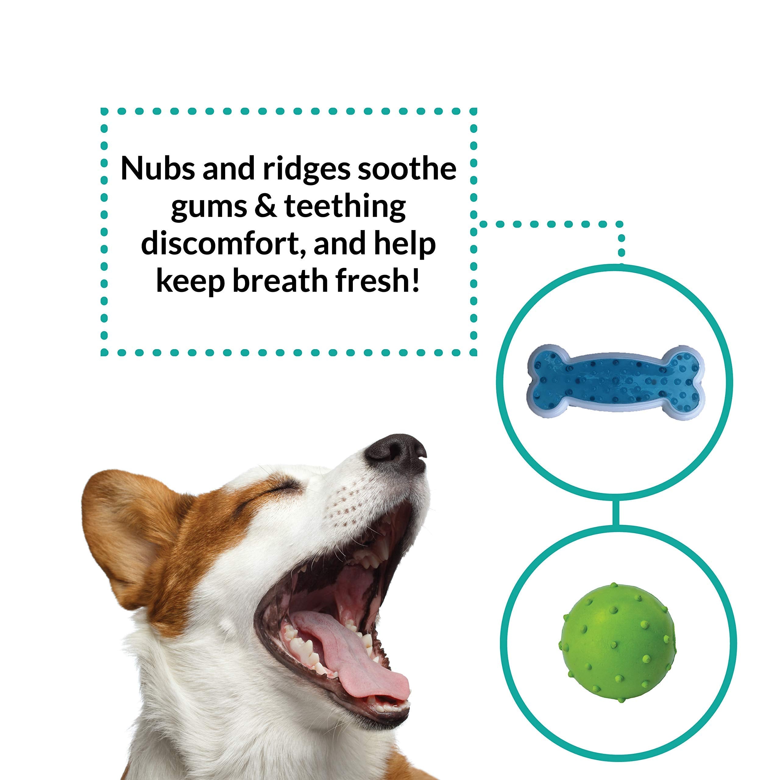 Rocket & Rex puppy gift set delights new owners with engaging toys.