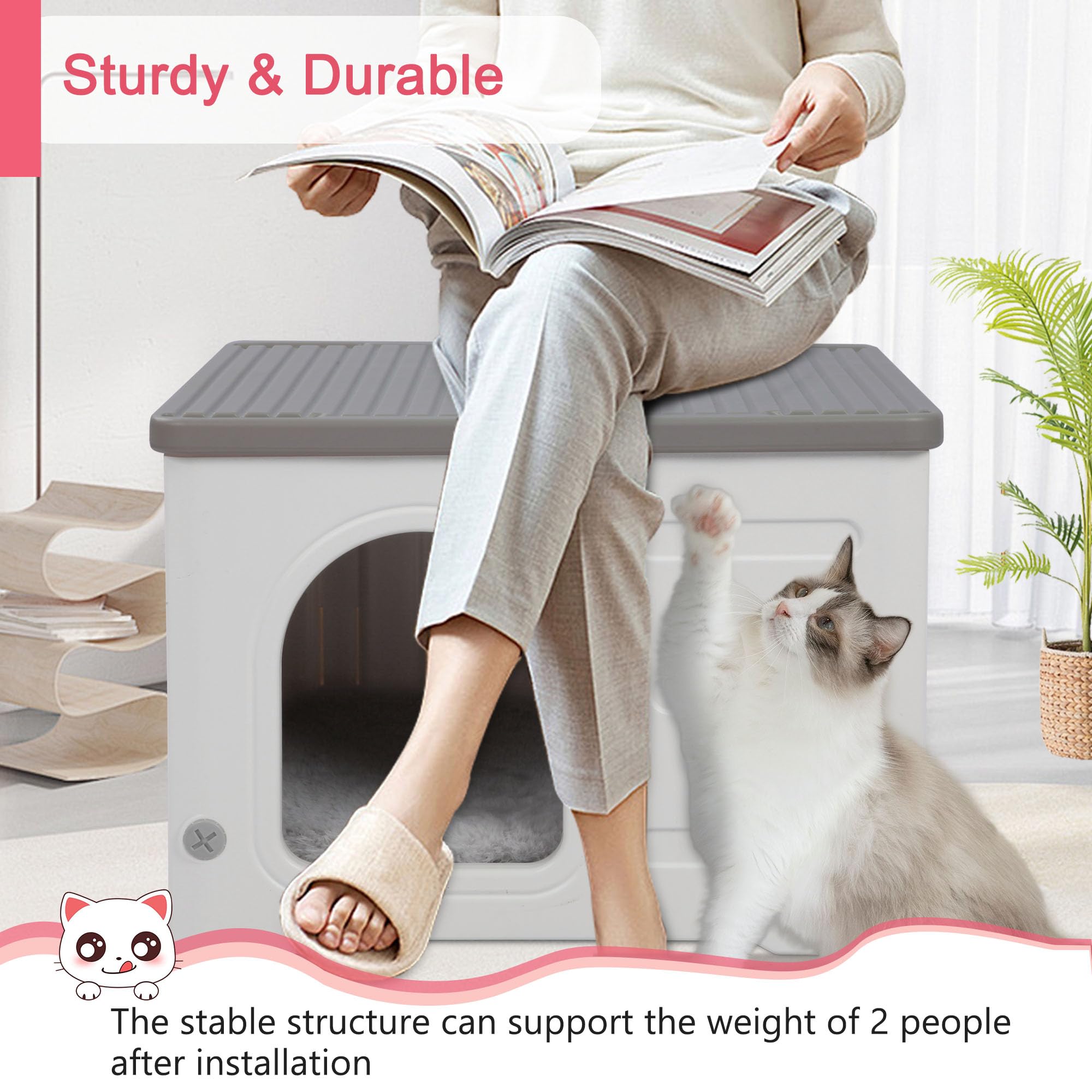 Rockever stackable design enables multi-cat towers with stable footing.