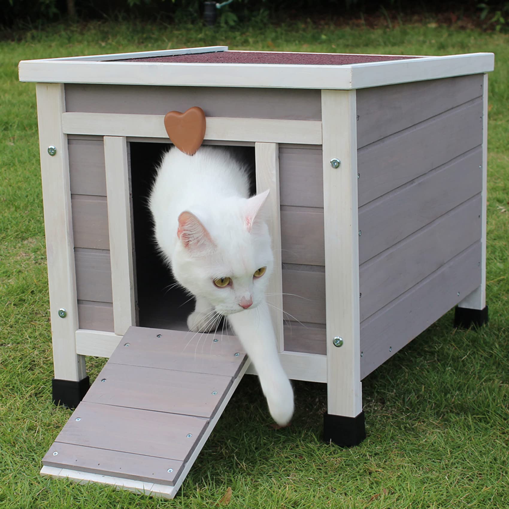 Rockever Outdoor Cat House with asphalt roof highlights weatherproof protection