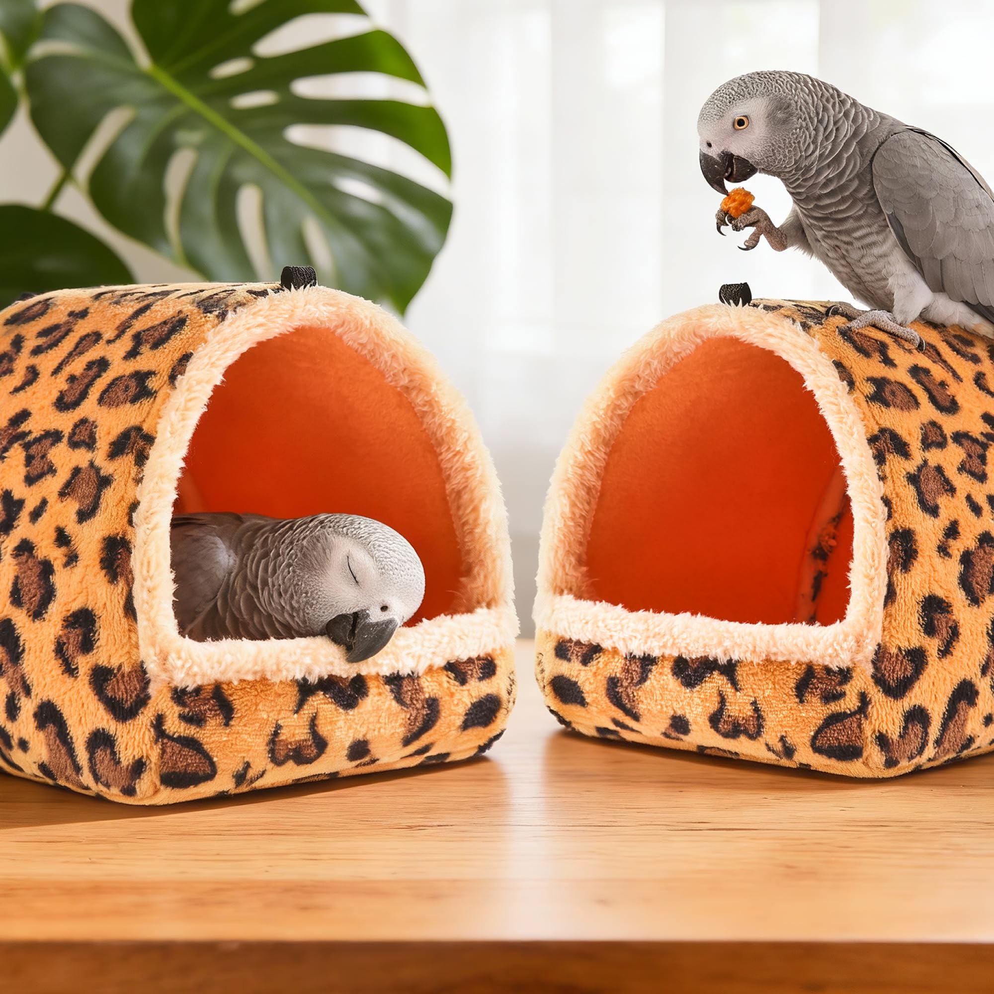 Rodizoo cage-bed in-use; versatile resting and private retreat.