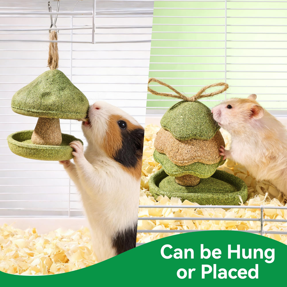 Rodizoo chew toy in use supports enrichment during daily interaction.
