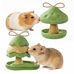 Rodizoo guinea pig chew toy acorn shape promotes healthy chewing and enrichment.