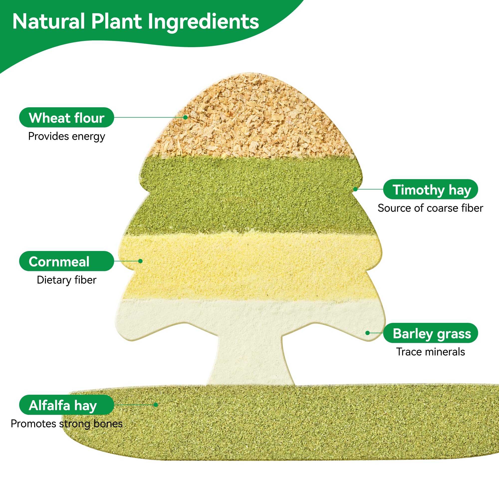 Rodizoo natural ingredients with Timothy grass invite safe nibbling.