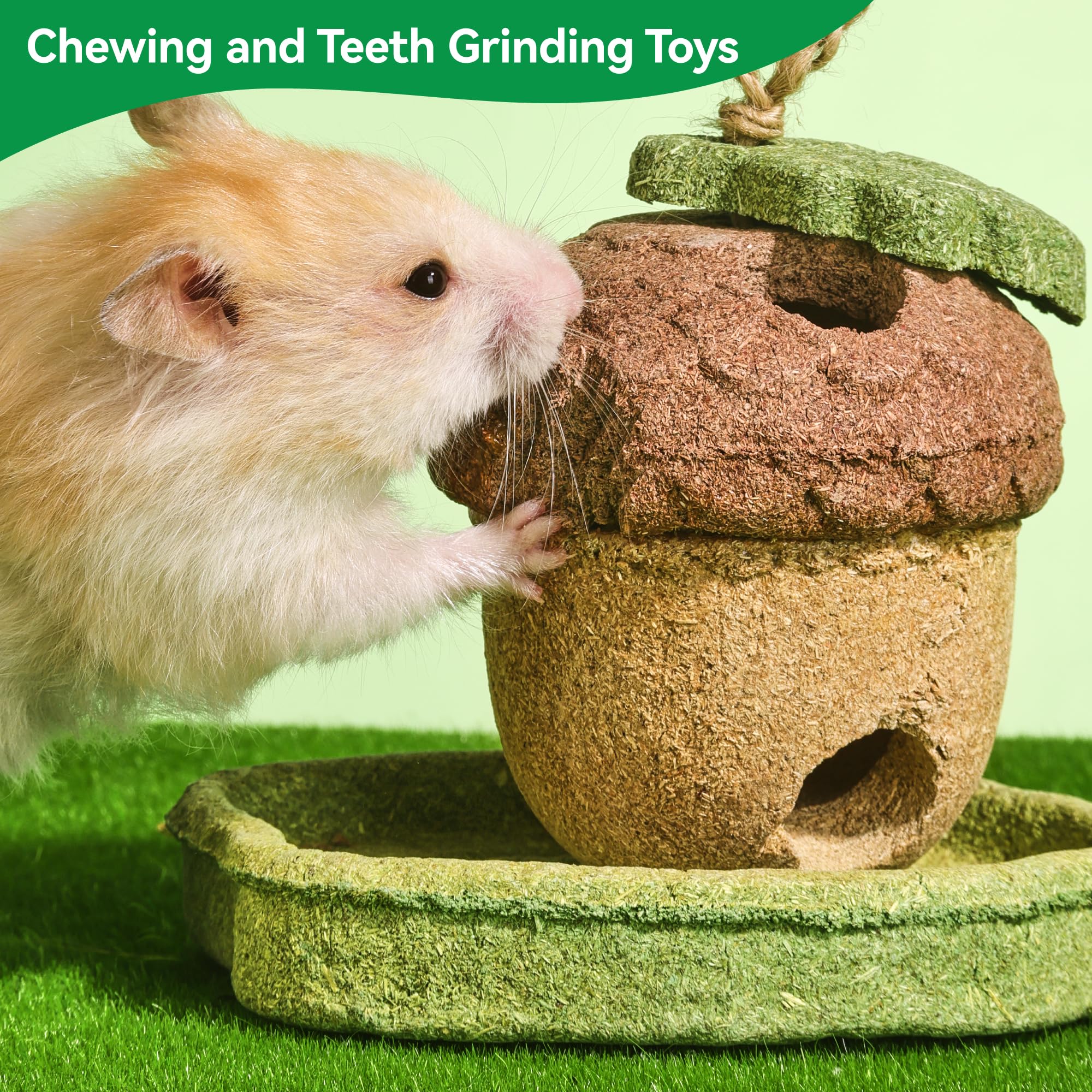 Rodizoo natural timothy grass treat for small pets' munching moments.