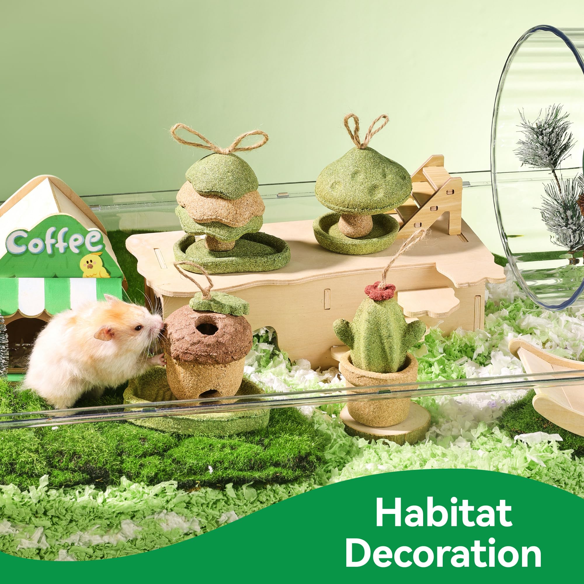 Rodizoo safe plant-based materials suit gentle gnawing and daily play.
