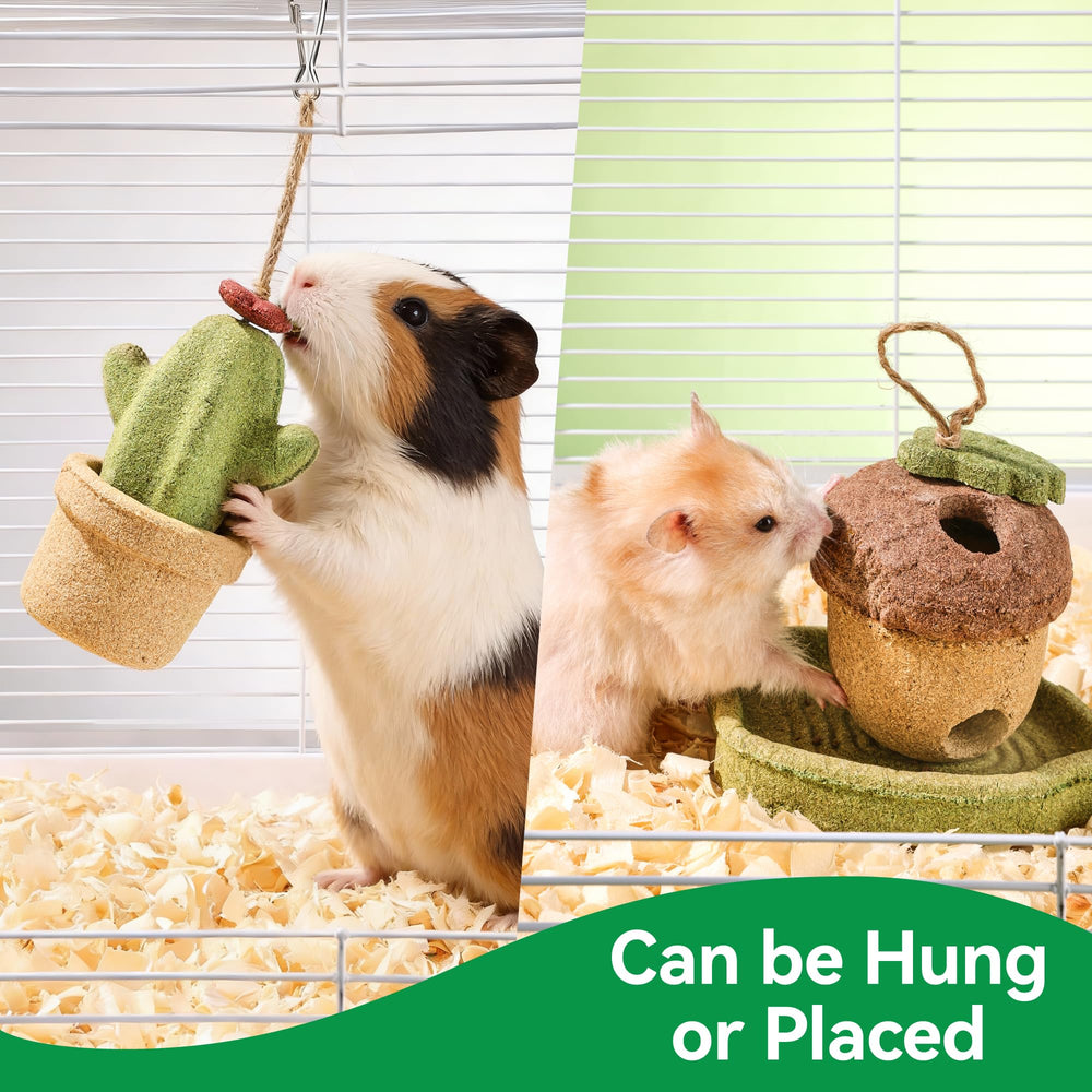 Rodizoo small animal chew toy set encourages safe, engaging gnawing.