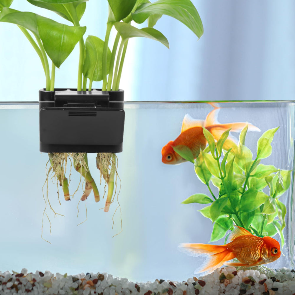 Roetelo aquarium plant holder with clamp system secures plants neatly.