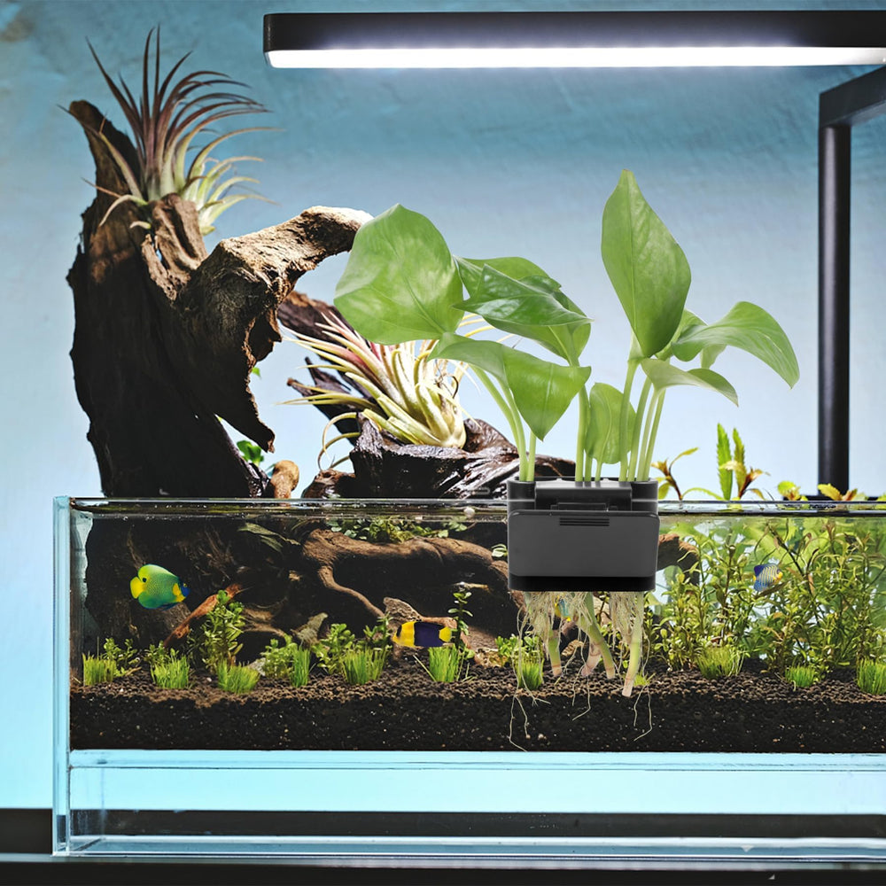 Roetelo 4-piece bundle provides complete tank planting solutions.