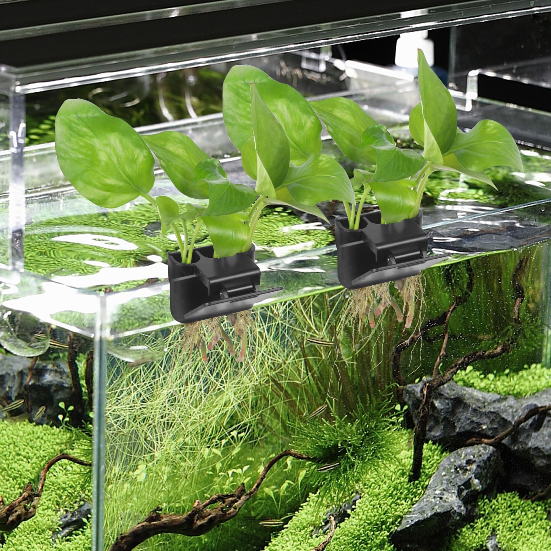 Roetelo durable black aquascape decor doubles as a practical plant stand.