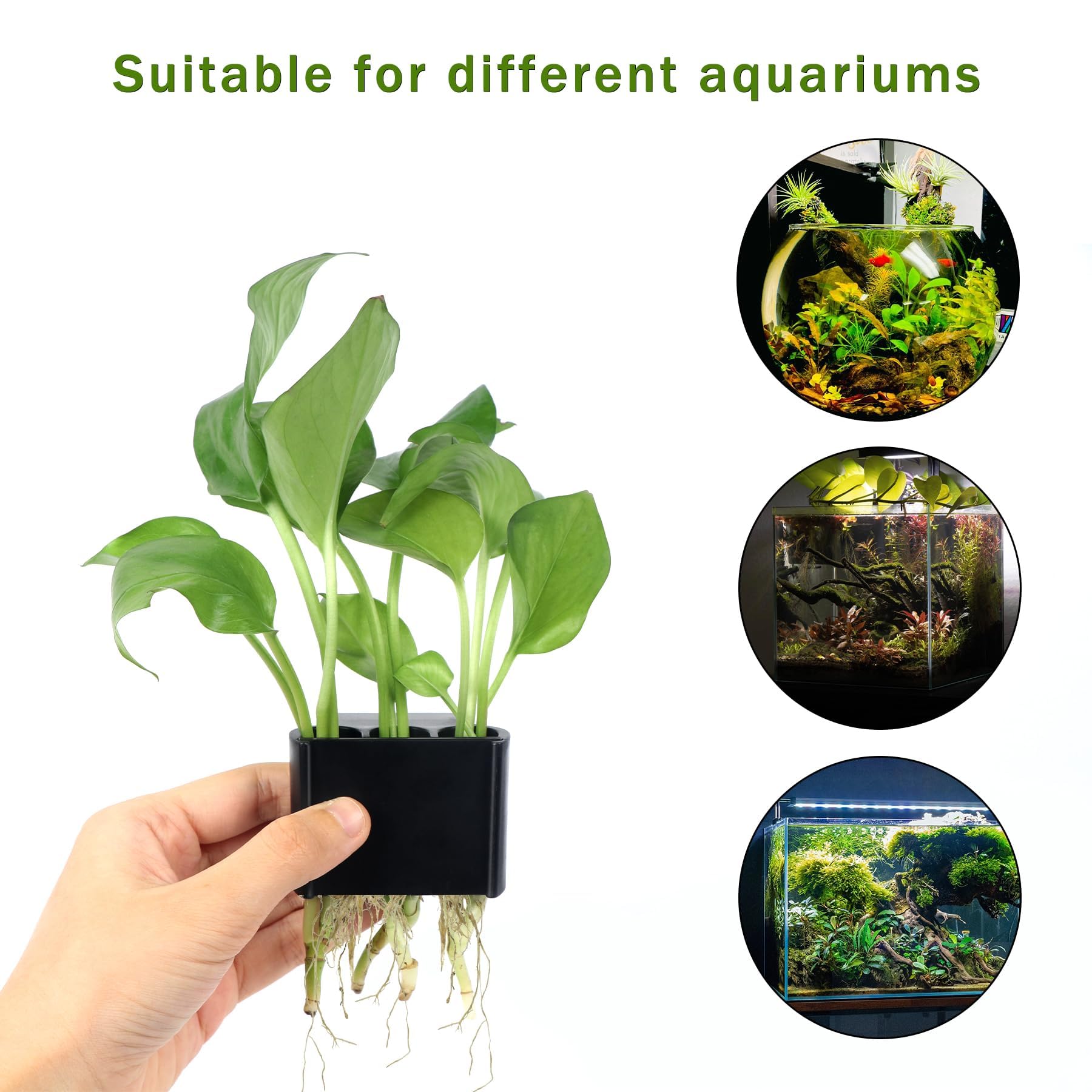 Roetelo multi-hole plant stand closeup highlights versatile placement options.