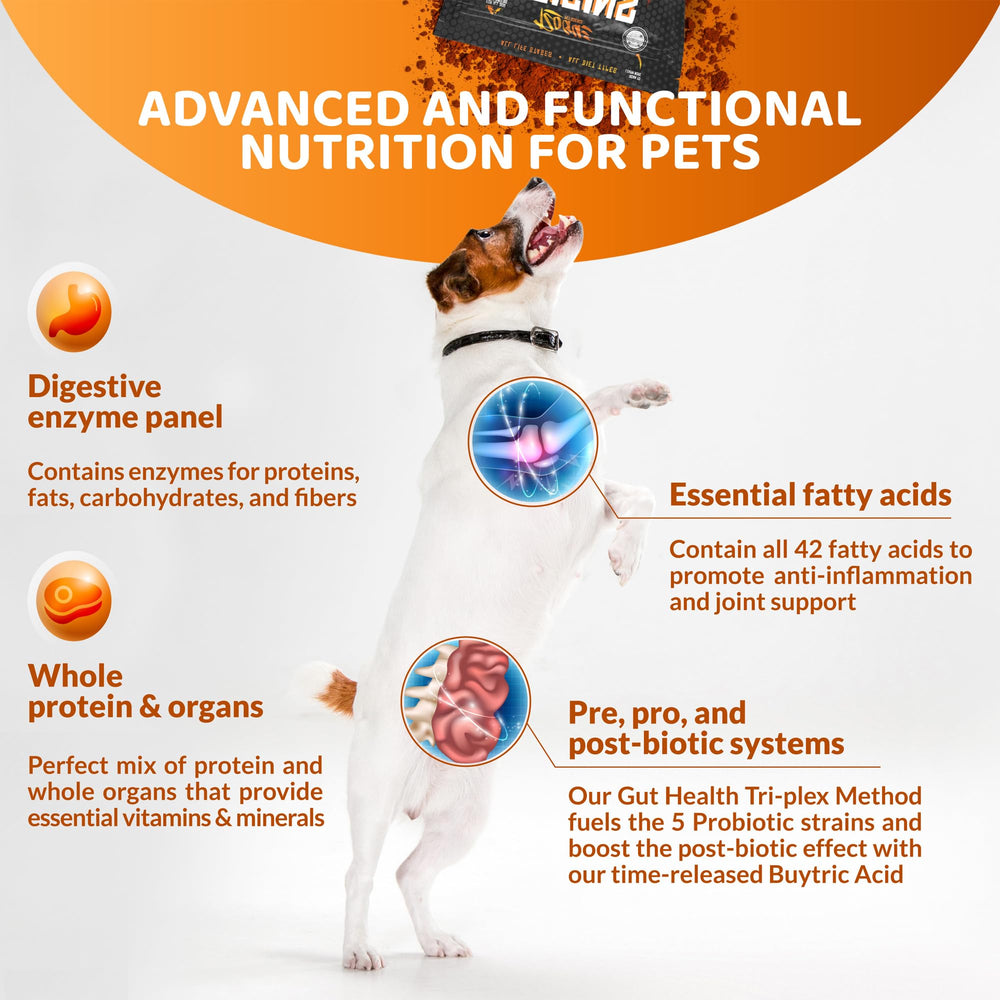 ROGUE PET SCIENCE Origins 5-in-1 dog supplement label highlights prebiotics and probiotics
