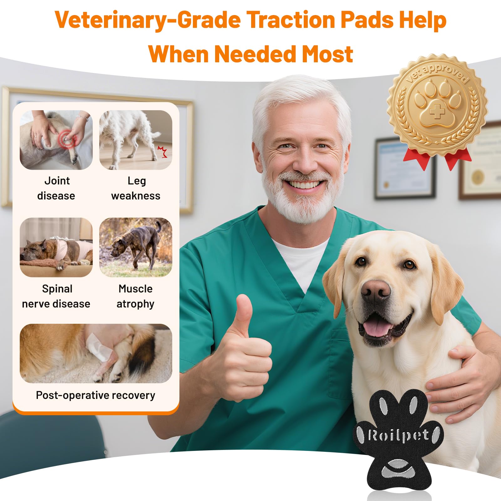 Roilpet breathable hypoallergenic material keeps paws safe and comfortable.