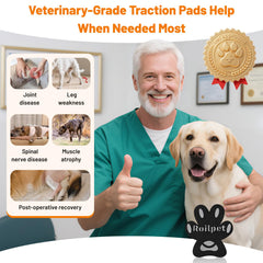 Roilpet breathable hypoallergenic material keeps paws safe and comfortable.