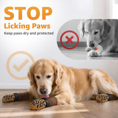 Roilpet socks on hardwood floor demonstrate anti-slip grip in action.