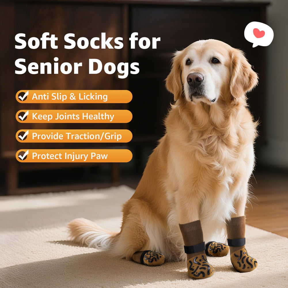 Roilpet size M guide showing paw width and sock length for proper fit.