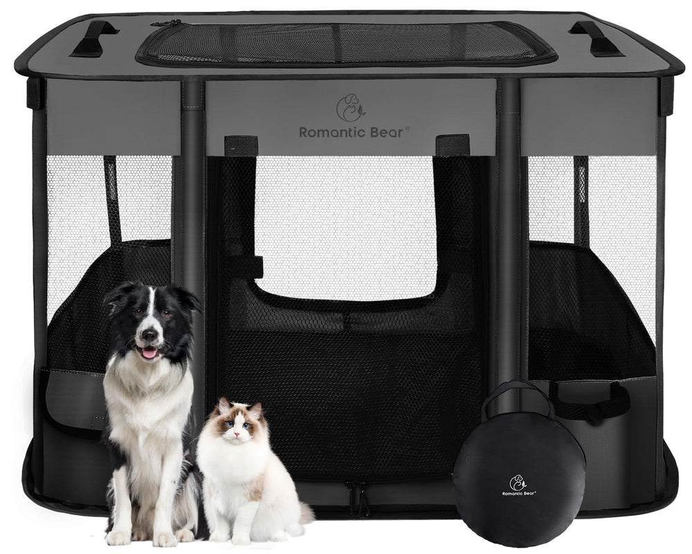Romantic Bear dog playpen foldable setup for indoor or outdoor use