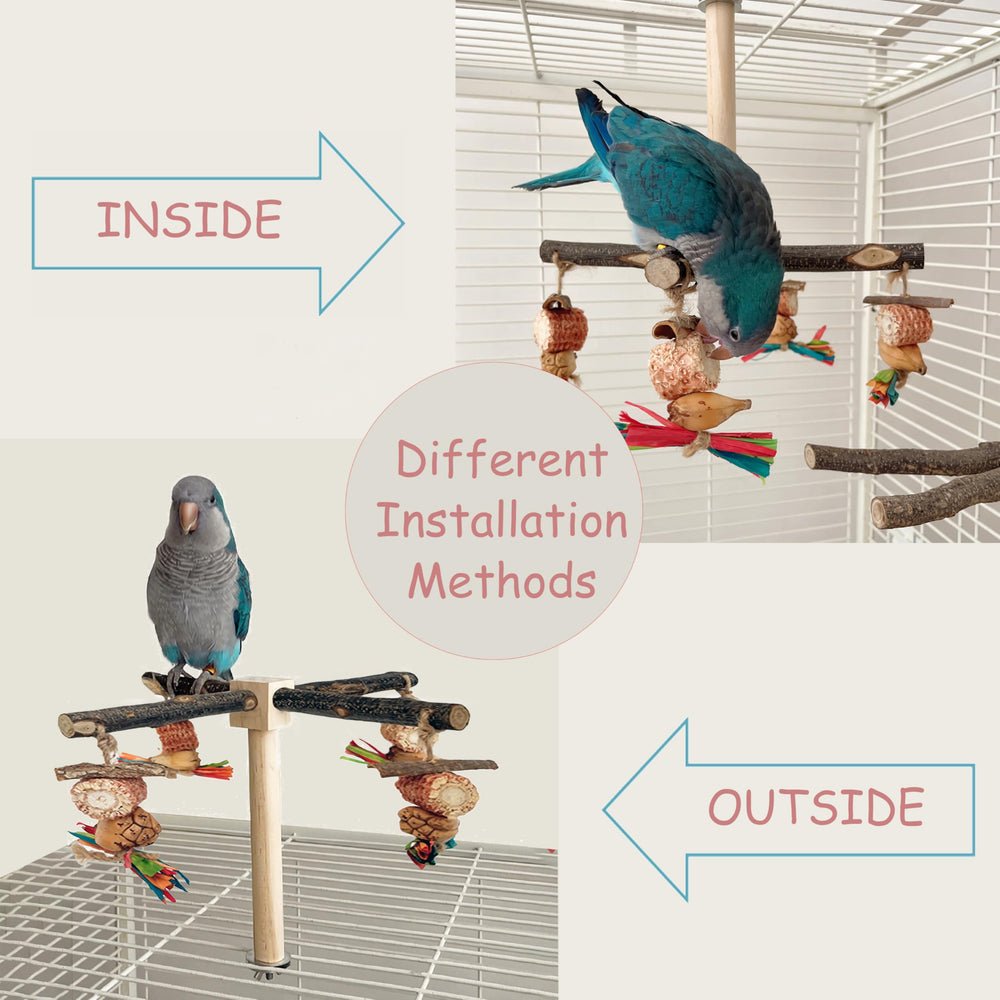 ROOJUNE easy-assembly perch fits cages and gyms in minutes.