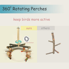 ROOJUNE foraging arms perch enabling treat-based play.
