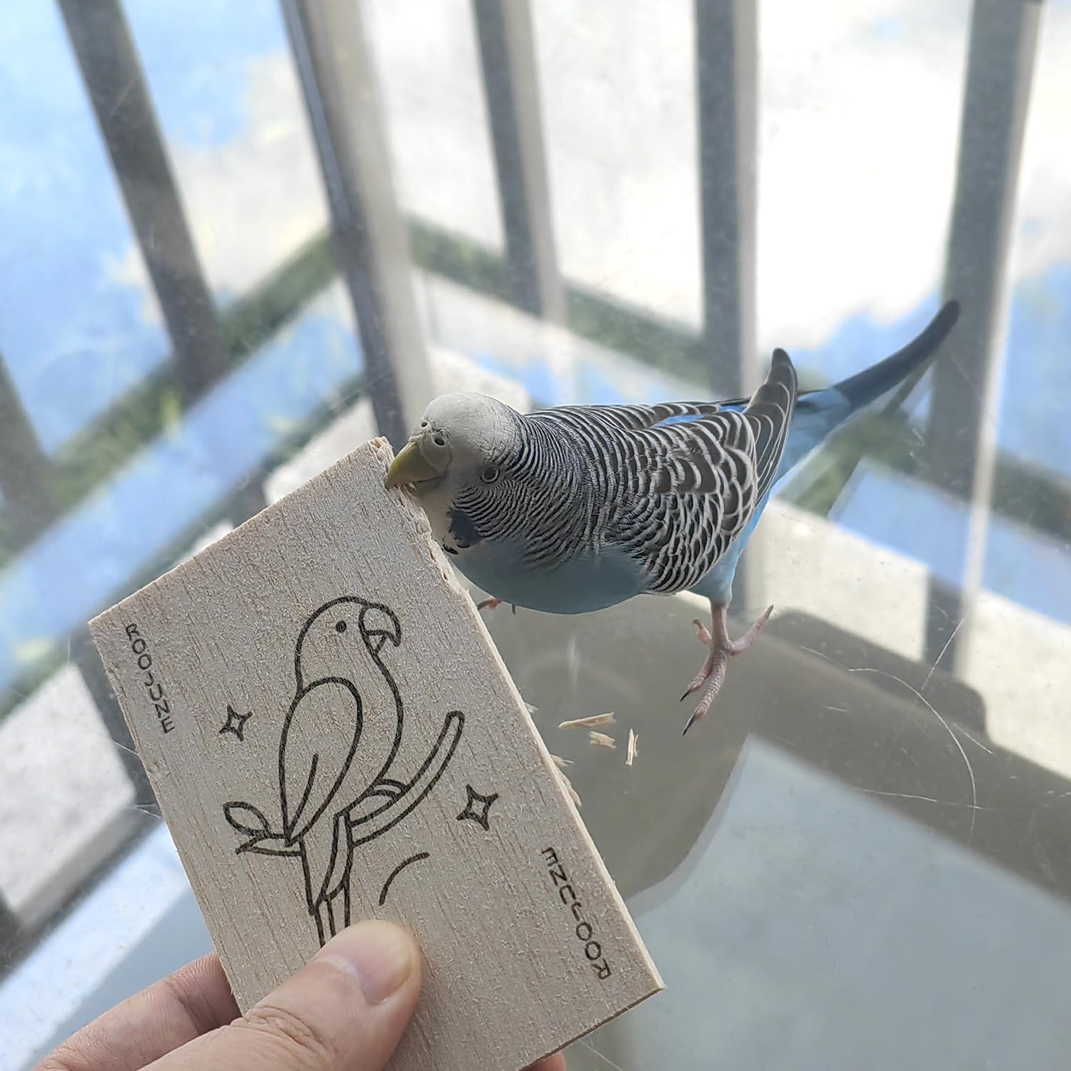 ROOJUNE ultra-thin slices enable quick shredding and engaging foraging.