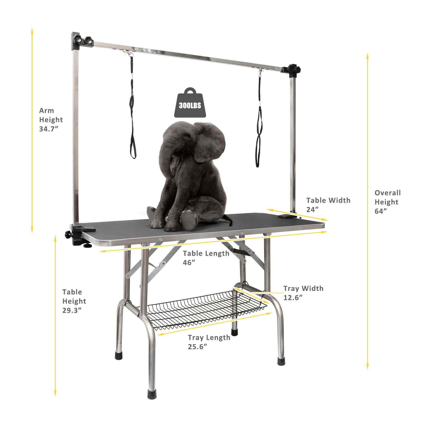 ROOMTEC adjustable arm demonstrates height flexibility for various dog sizes.
