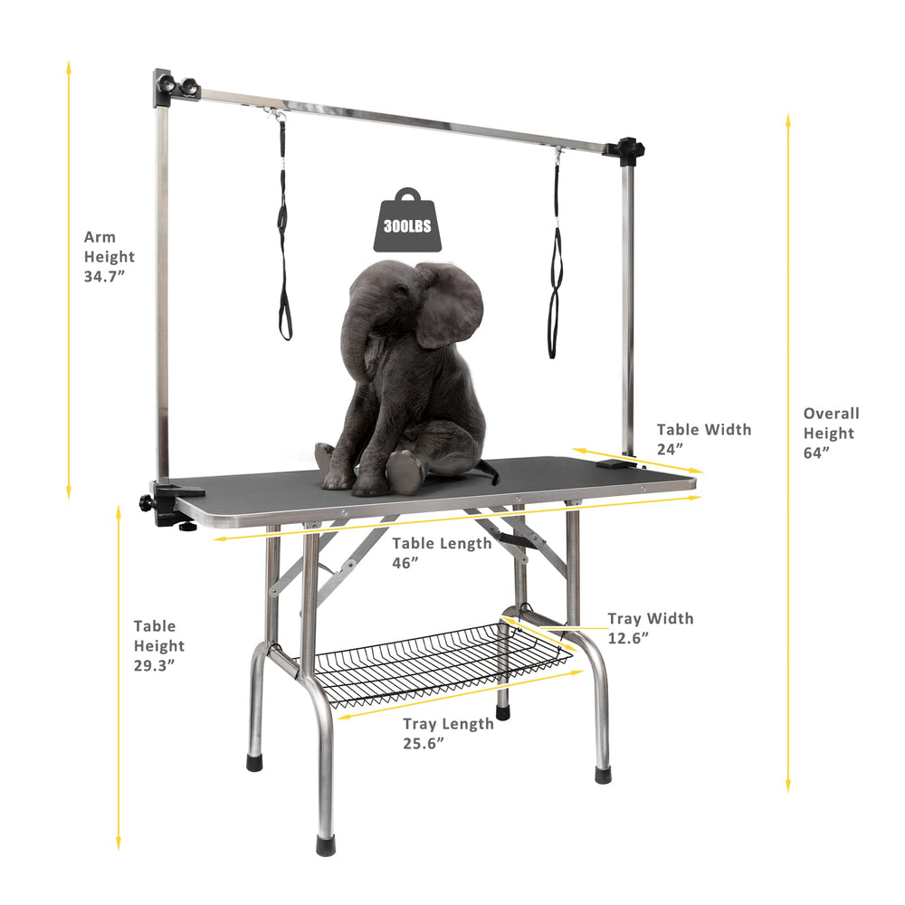 ROOMTEC adjustable arm demonstrates height flexibility for various dog sizes.