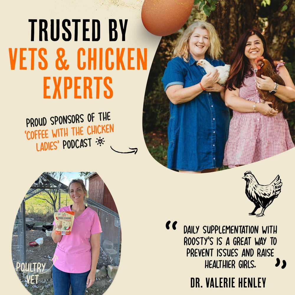 Backyard coop with chickens using Roosty's Gold Dust
