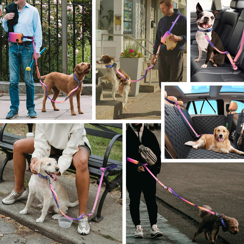 Roses&Poetry car seatbelt clip keeps the leash secure during car rides.