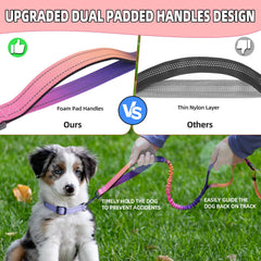 Roses&Poetry leash with reflective stitching for safer nighttime visibility.