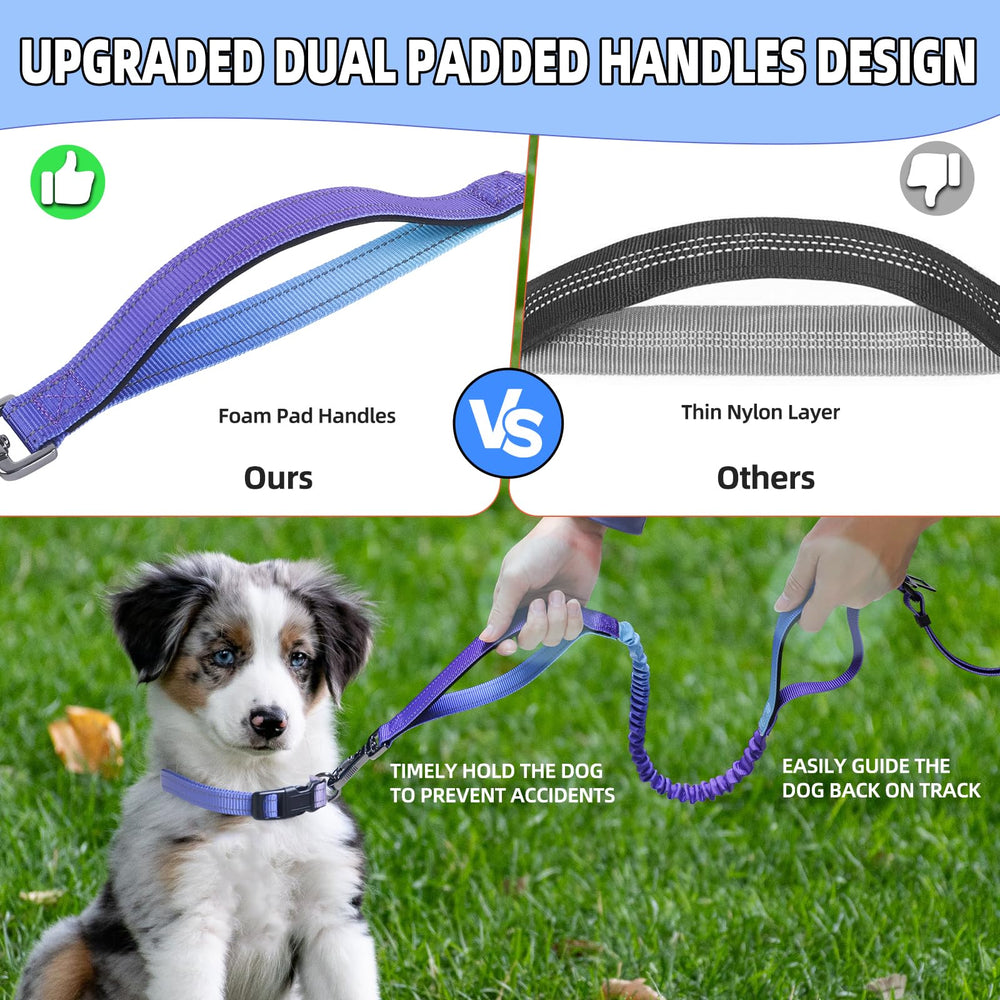 Roses&Poetry hands-free leash reflective stitch improves nighttime visibility