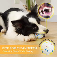 RoseYouth easy-clean ball stays mud-free after park or beach adventures.