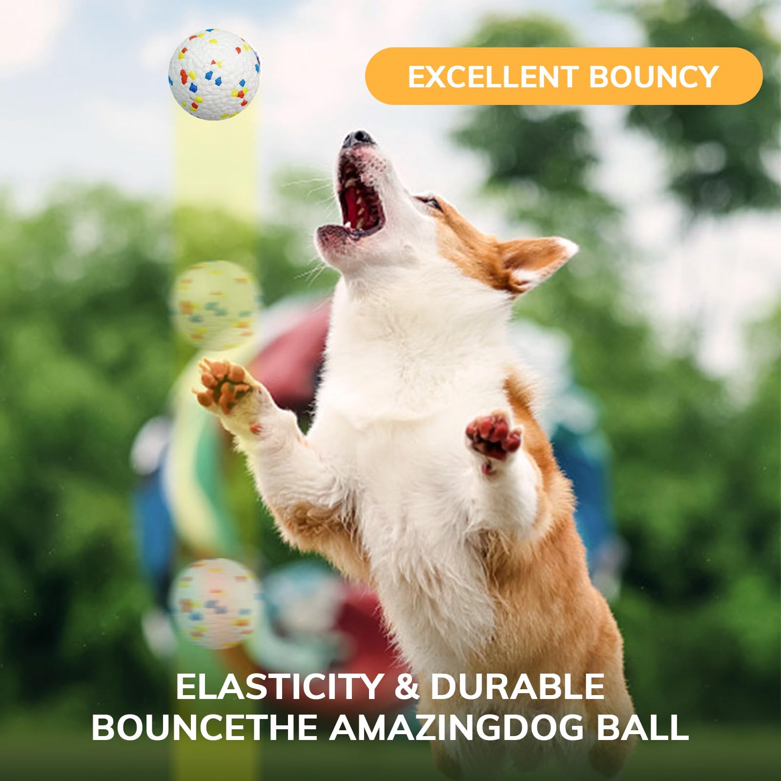RoseYouth family-friendly dog ball for kids and dogs to enjoy together.